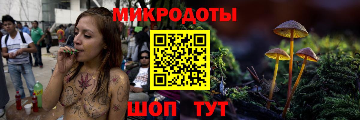 Псилоцибиновые грибы Cubensis  Вход с VPN  Псилоцибиновые грибы прущие грибы  Ростов-на-Дону 